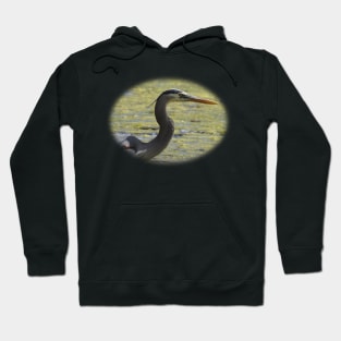 Great Blue Heron Hoodie